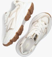 Witte HABOOB Lage sneakers LPTOKIO - medium