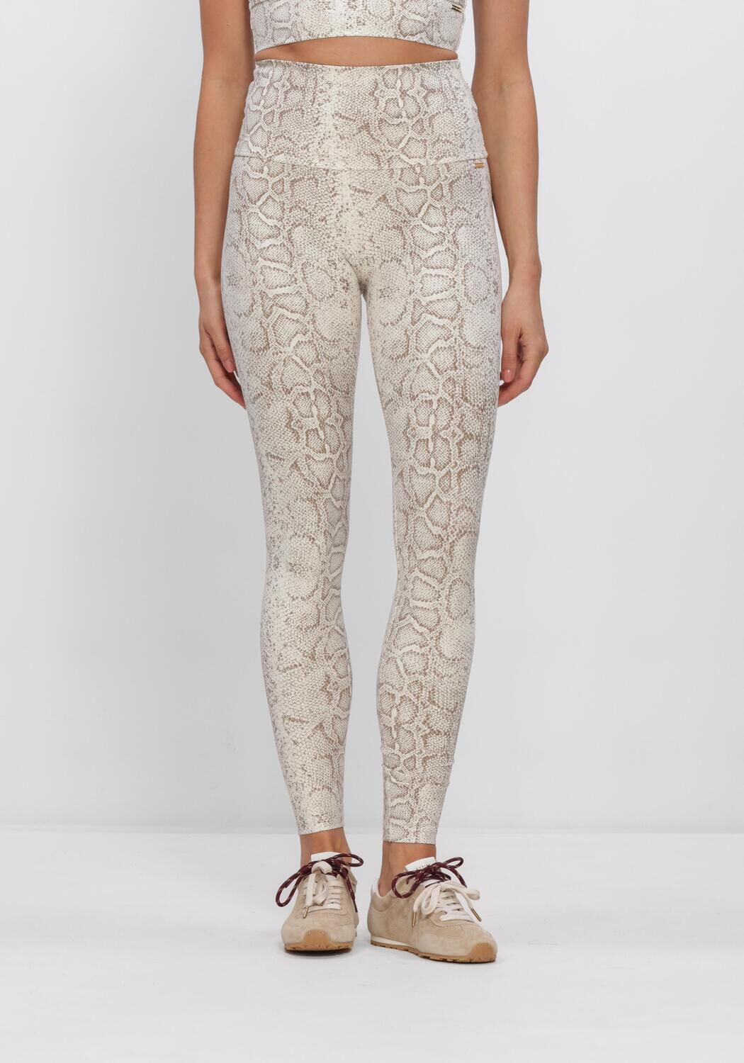 Bruine DEBLON SPORTS Legging CLASSIC LEGGINGS HIGH WAISTBAND 2 - large