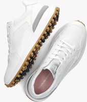 Witte FLORIS VAN BOMMEL Lage sneakers SFW-10099 - medium