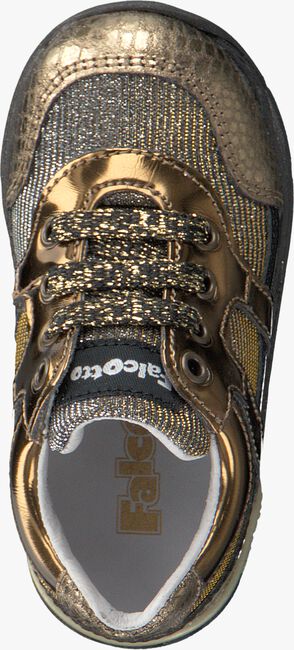 Gouden FALCOTTO Sneakers DRAKE  - large