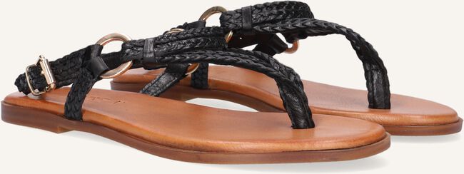 Zwarte NOTRE-V Platte sandalen 443011 Zwarte NOTRE-V Platte sandalen 443011 - large