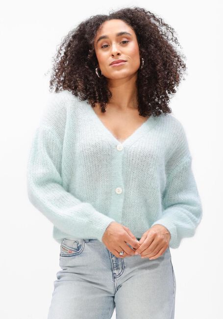 Blauwe TWNS Vest ERIE - large