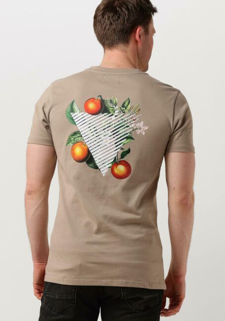 Taupe PURE PATH T-shirt TSHIRT WITH FRONT AND BACK PRINT - large