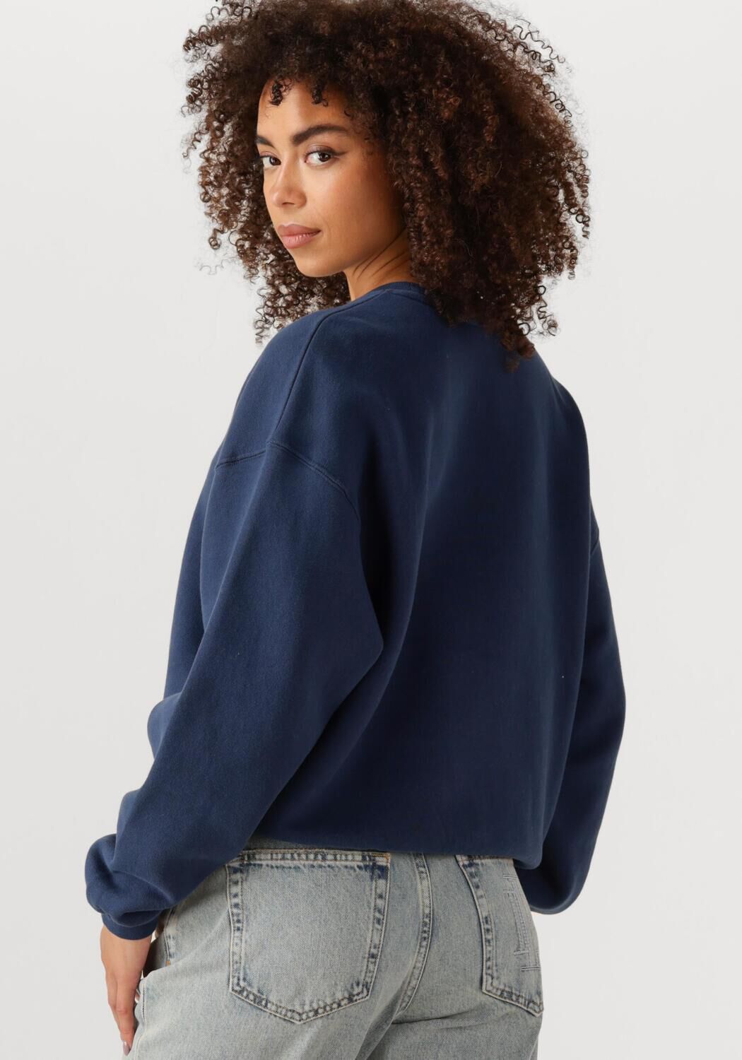 AMERICAN VINTAGE Dames Truien & Vesten Izubird D Blauw