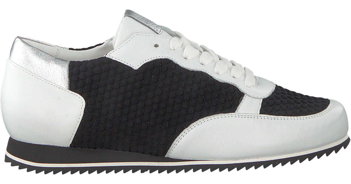 hassia sneakers sale