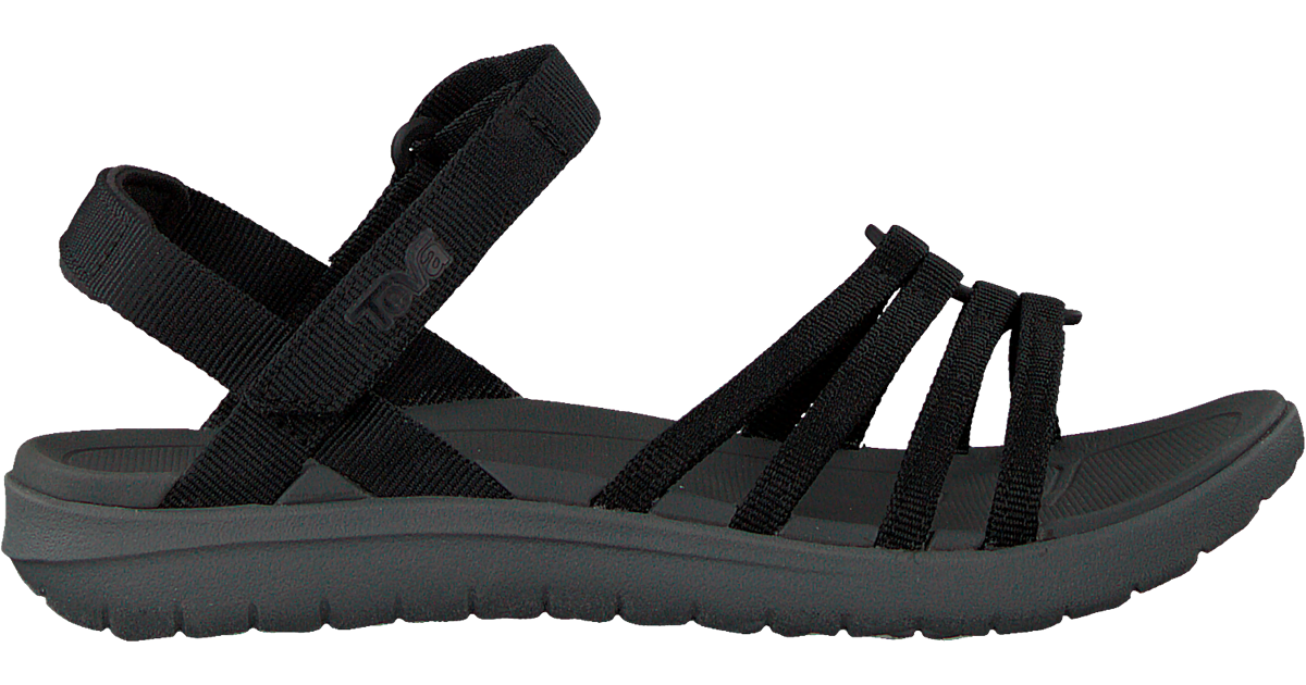 teva w sanborn