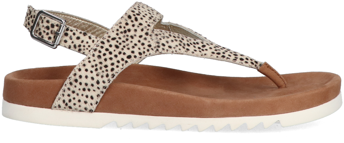 Beige MARUTI Sandalen BEAR | Omoda